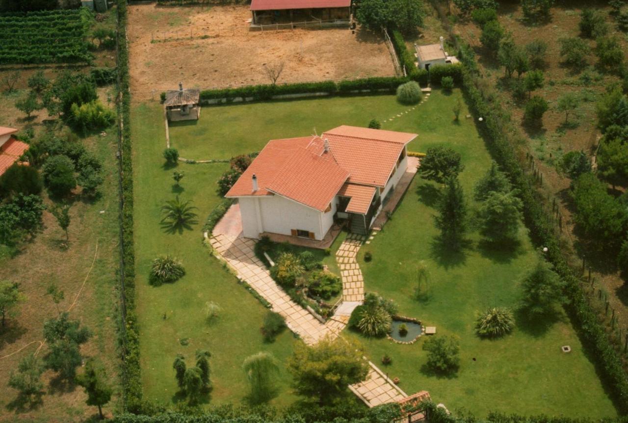 شيفيتافيكْيا B&B Villa Sans Souci المظهر الخارجي الصورة