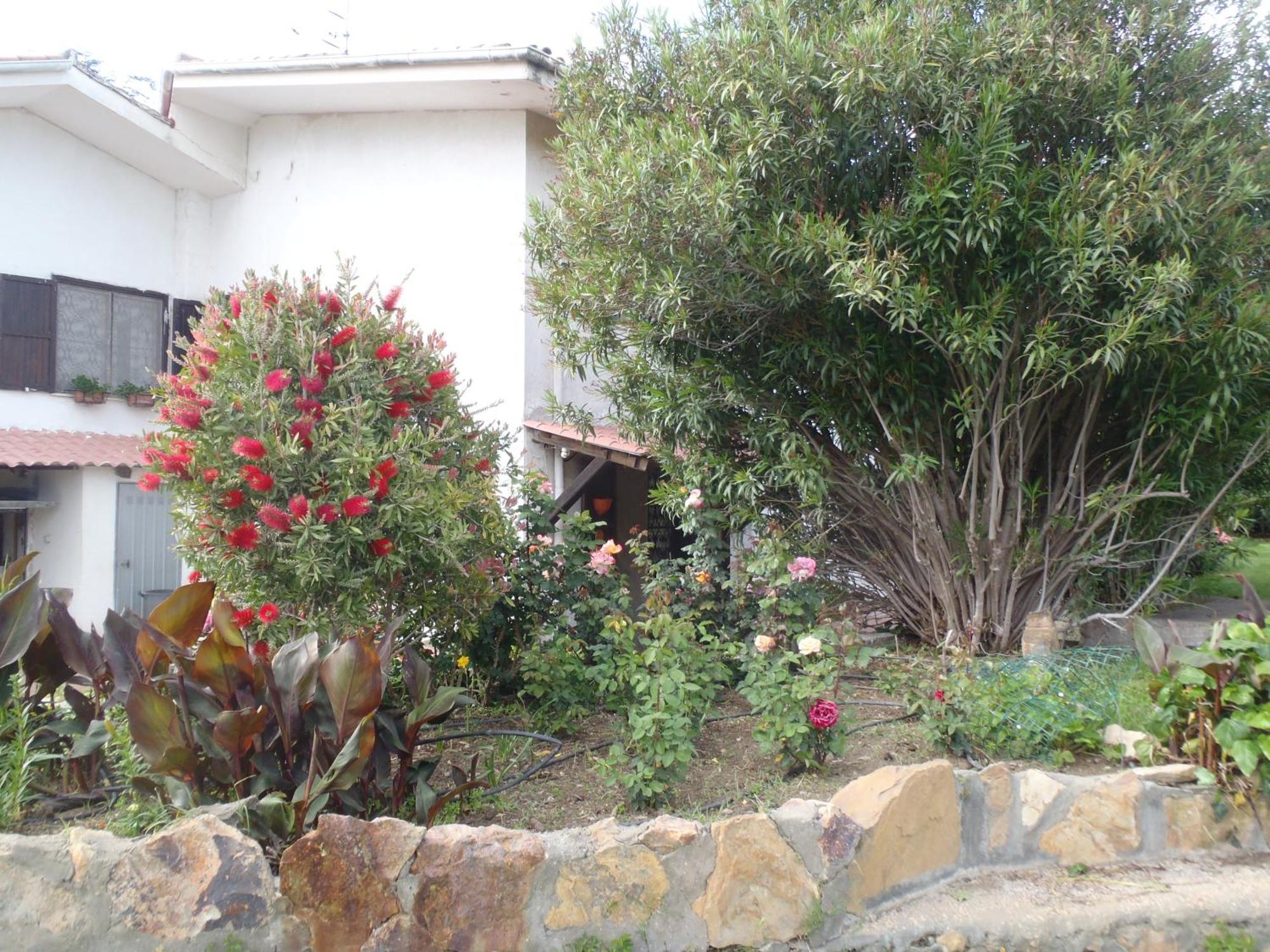 شيفيتافيكْيا B&B Villa Sans Souci المظهر الخارجي الصورة