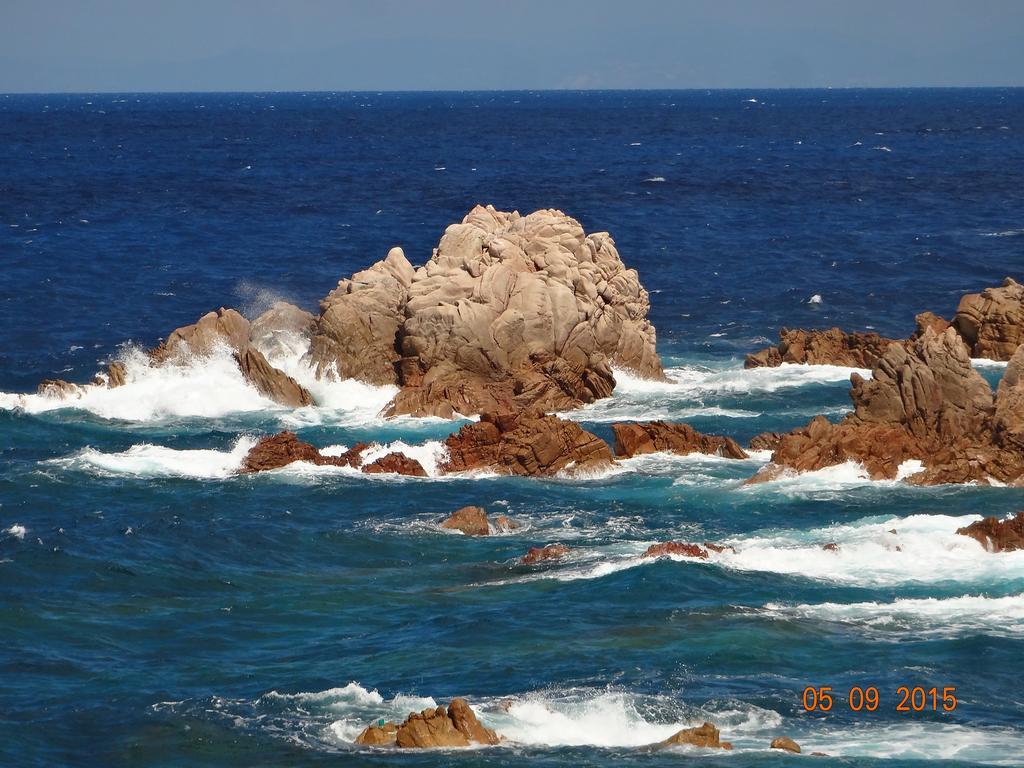 شيفيتافيكْيا B&B Villa Sans Souci المظهر الخارجي الصورة