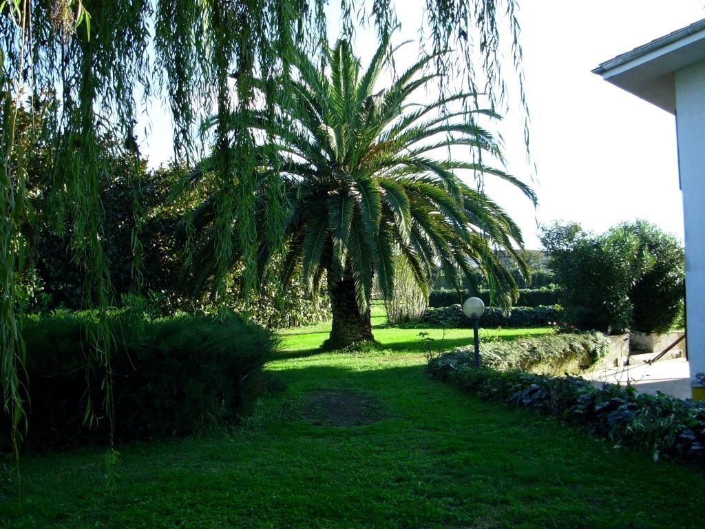 شيفيتافيكْيا B&B Villa Sans Souci المظهر الخارجي الصورة